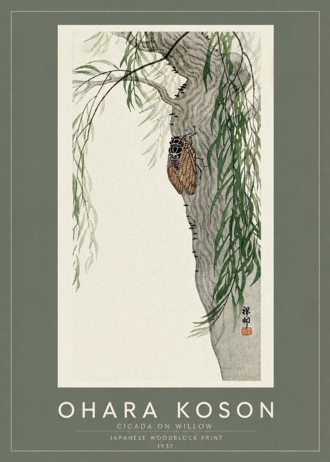 Ohara Koson Cicada on Willow No2 - Plakat