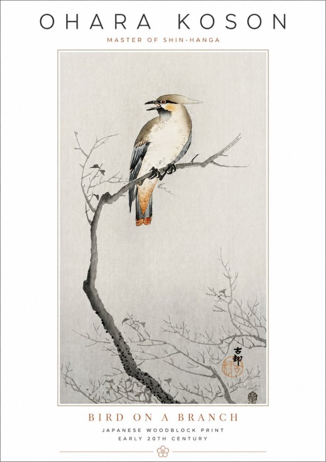 Ohara Koson Bird on a Branch I No3 - Plakat