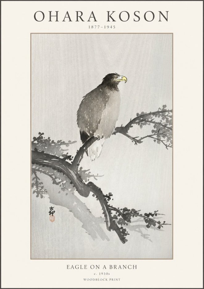 Ohara Koson Eagle on a Branch I No1 - Plakat