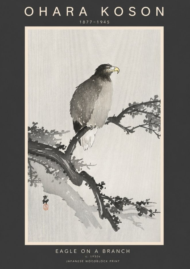 Ohara Koson Eagle on a Branch I No3 - Plakat