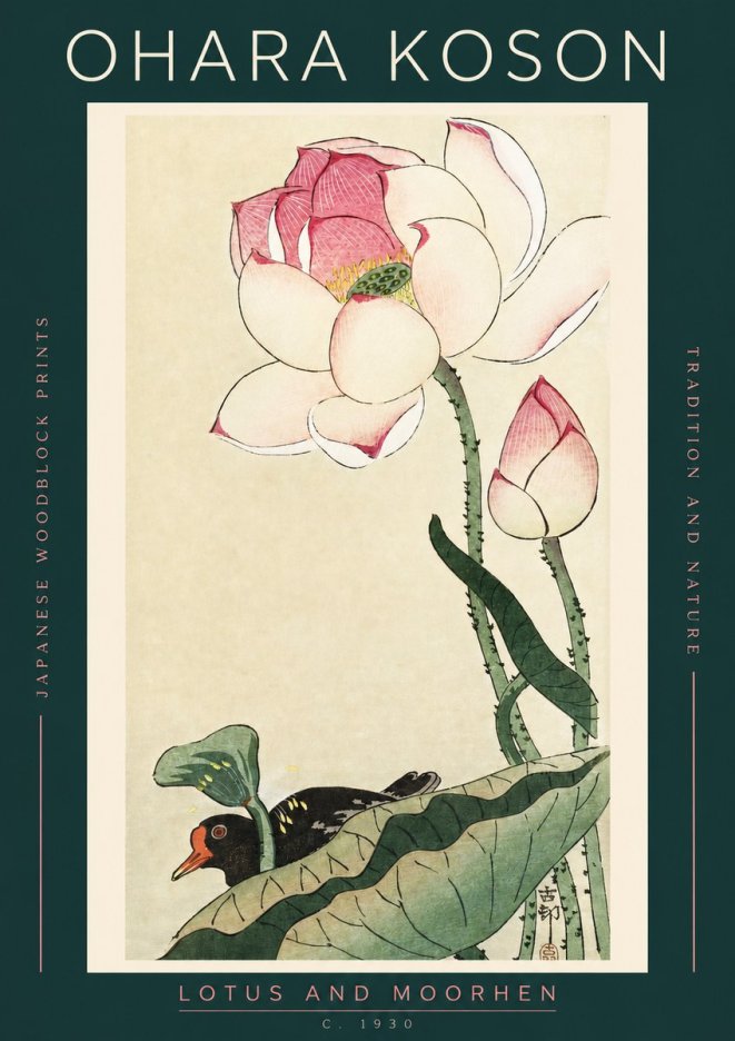 Ohara Koson Lotus and Moorhen No2 - Plakat
