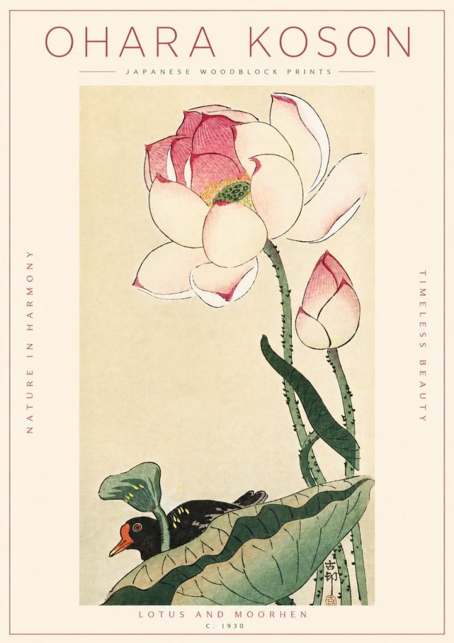 Ohara Koson Lotus and Moorhen No4 - Plakat