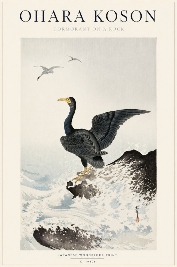 Ohara Koson Cormorant on a Rock No3 - Plakat