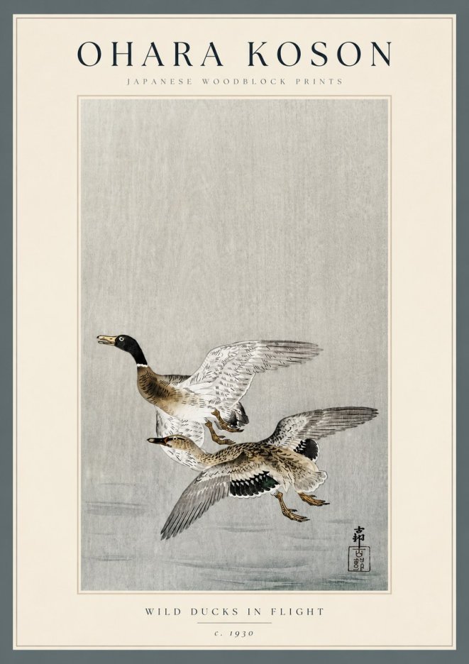 Ohara Koson Wild Ducks in Flight No3 - Plakat