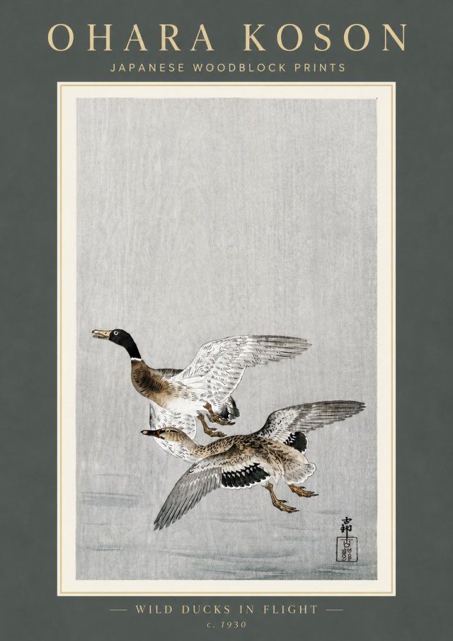 Ohara Koson Wild Ducks in Flight No6 - Plakat