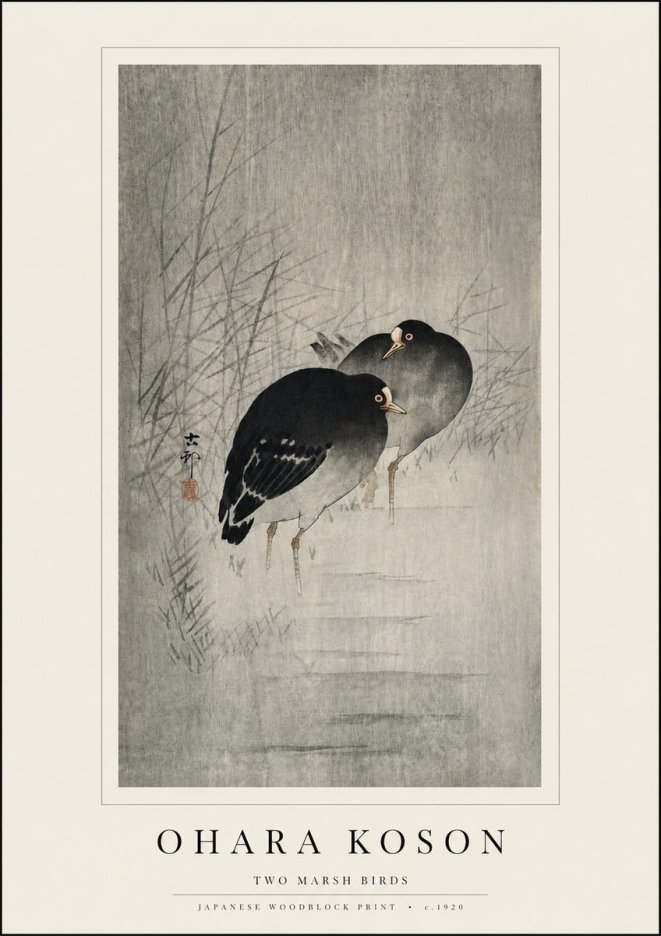 Ohara Koson Two Marsh Birds No3 - Plakat