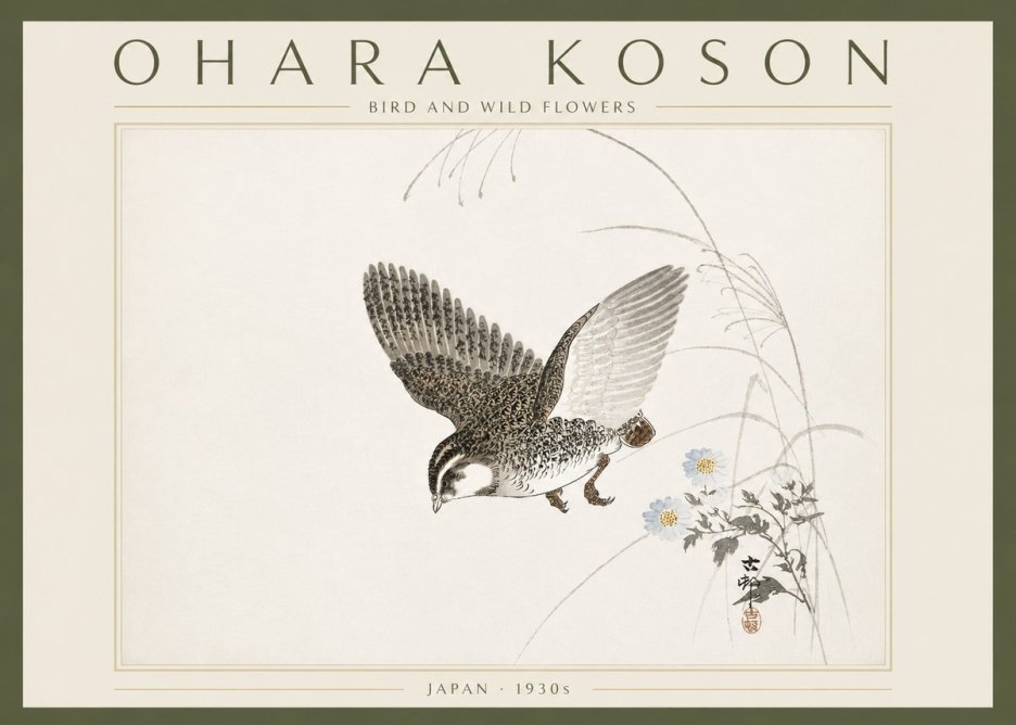 Ohara Koson Bird and Wild Flowers No6 - Plakat
