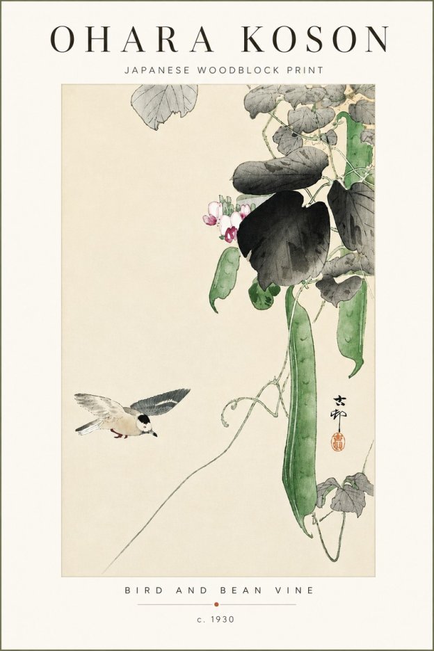 Ohara Koson Bird and Bean Vine No4 - Plakat