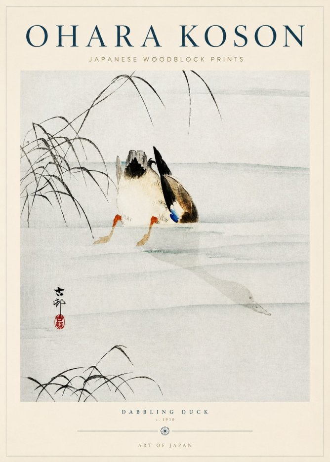 Ohara Koson Dabbling Duck No3 - Plakat