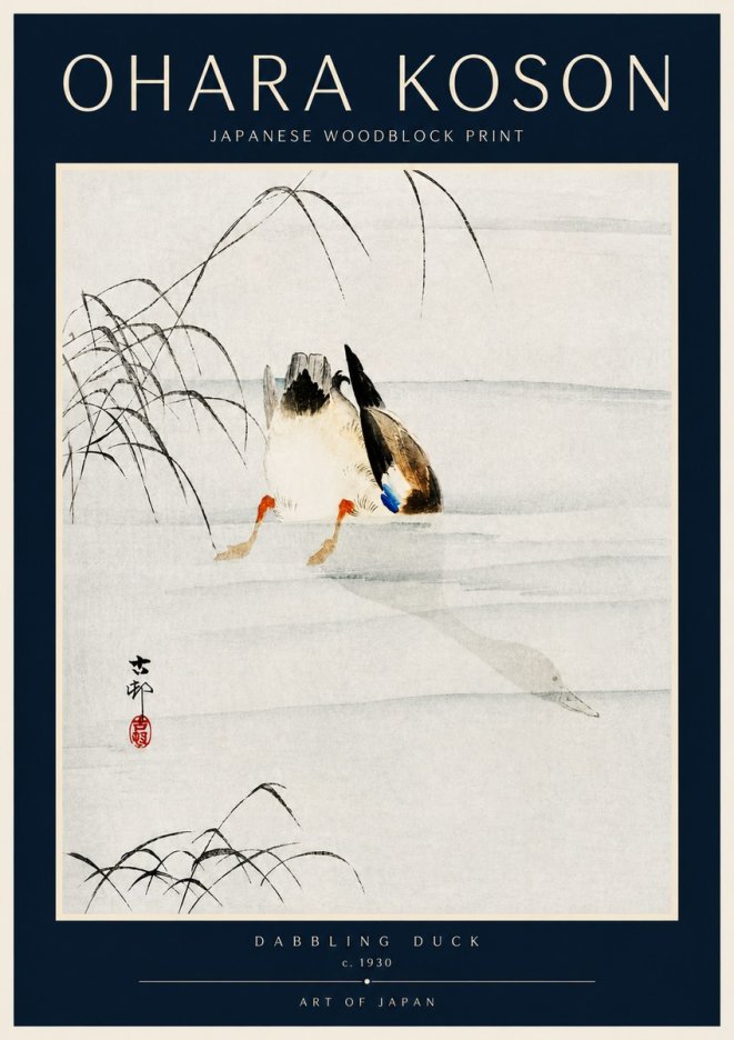 Ohara Koson Dabbling Duck No4 - Plakat