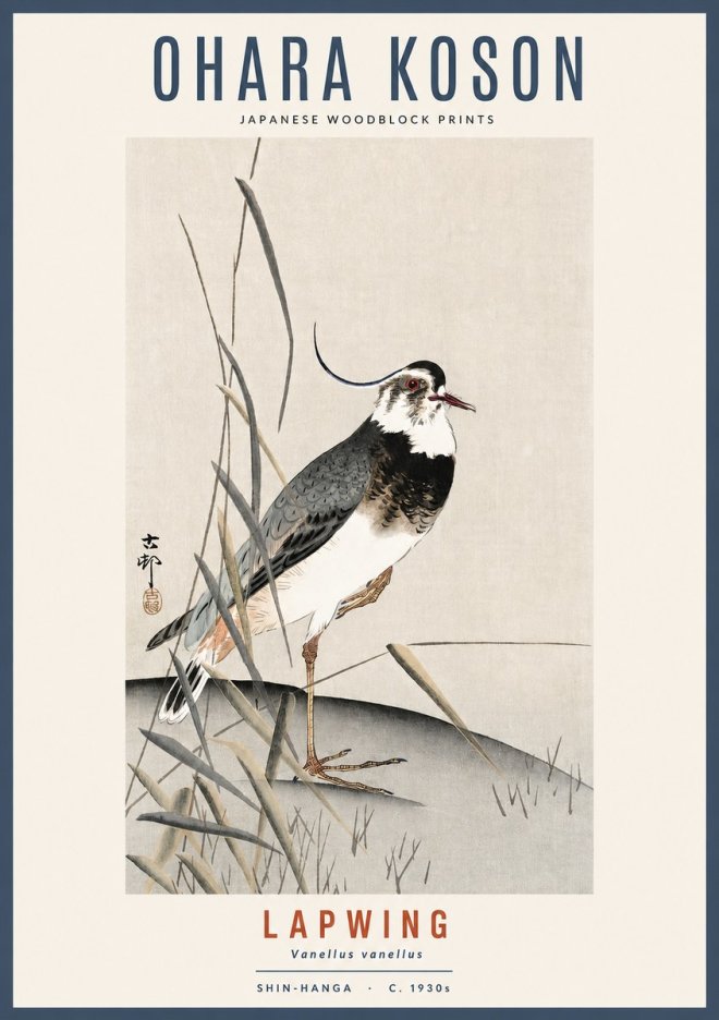 Ohara Koson Lapwing No2 - Plakat