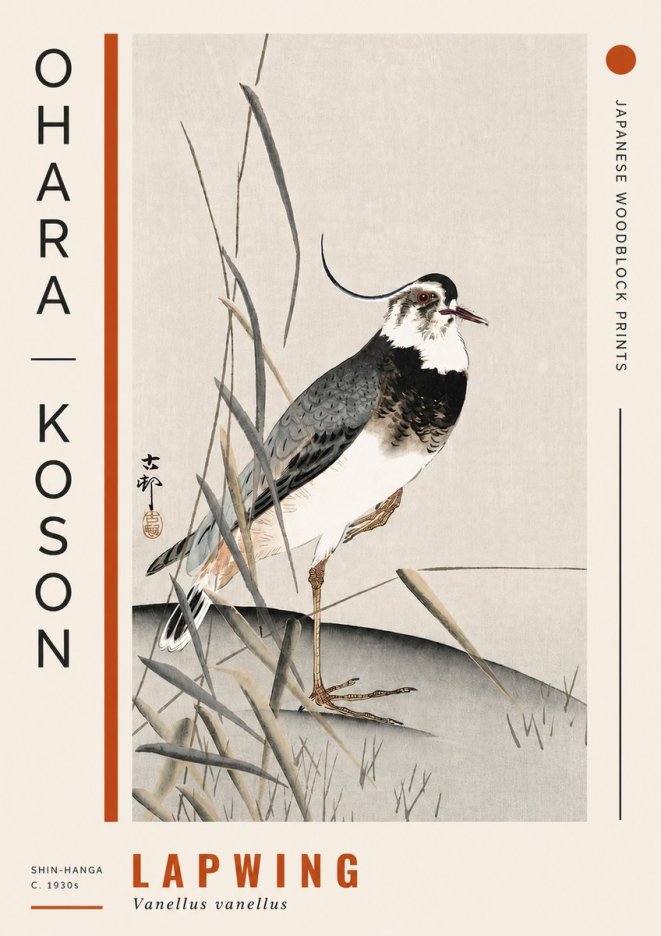 Ohara Koson Lapwing No4 - Plakat