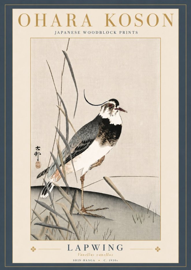 Ohara Koson Lapwing No5 - Plakat