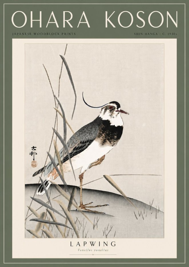 Ohara Koson Lapwing No6 - Plakat