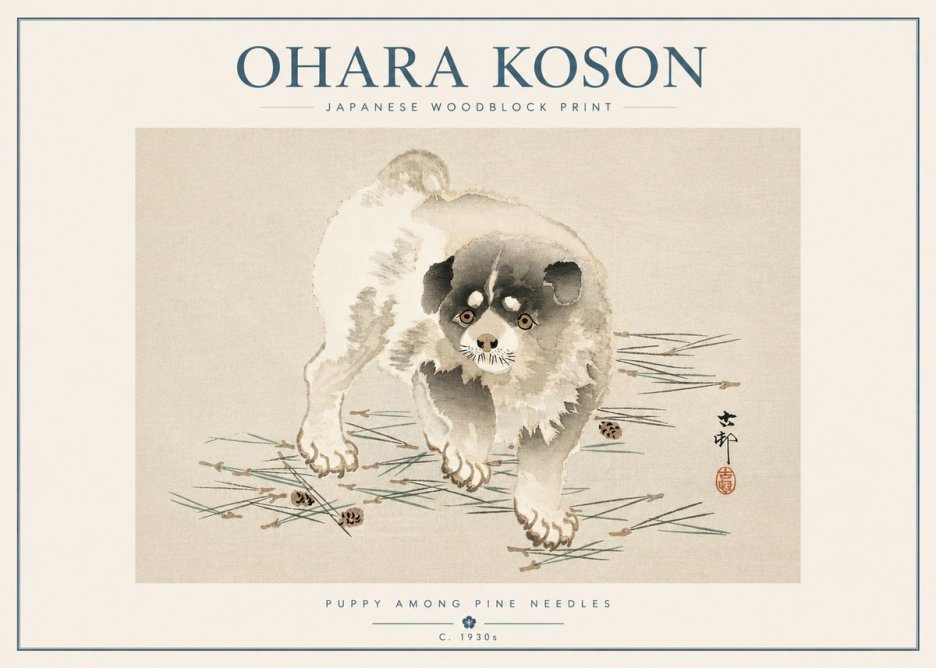 Ohara Koson Puppy Among Pine Needles No5 - Plakat