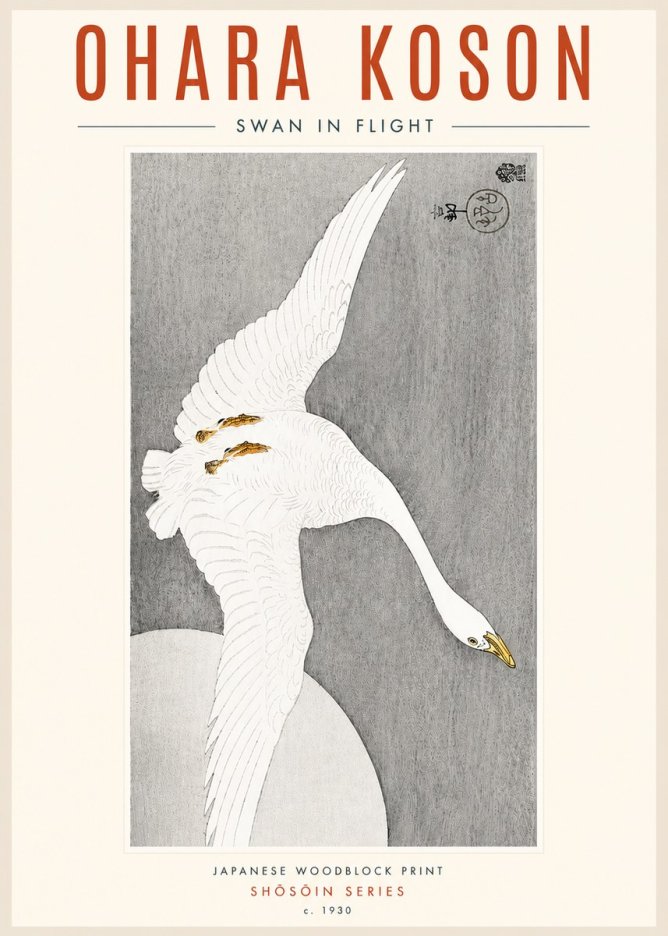 Ohara Koson Swan in Flight No4 - Plakat