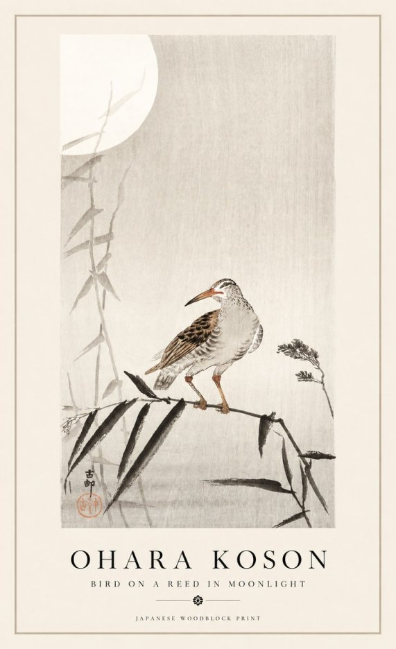 Ohara Koson Bird on a Reed in Moonlight No1 - Plakat