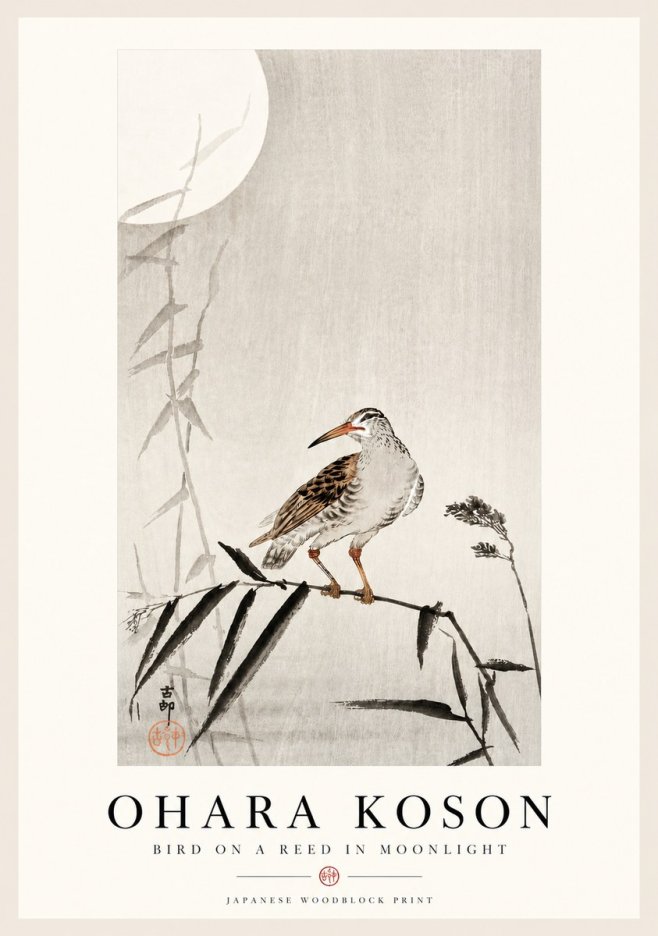 Ohara Koson Bird on a Reed in Moonlight No4 - Plakat