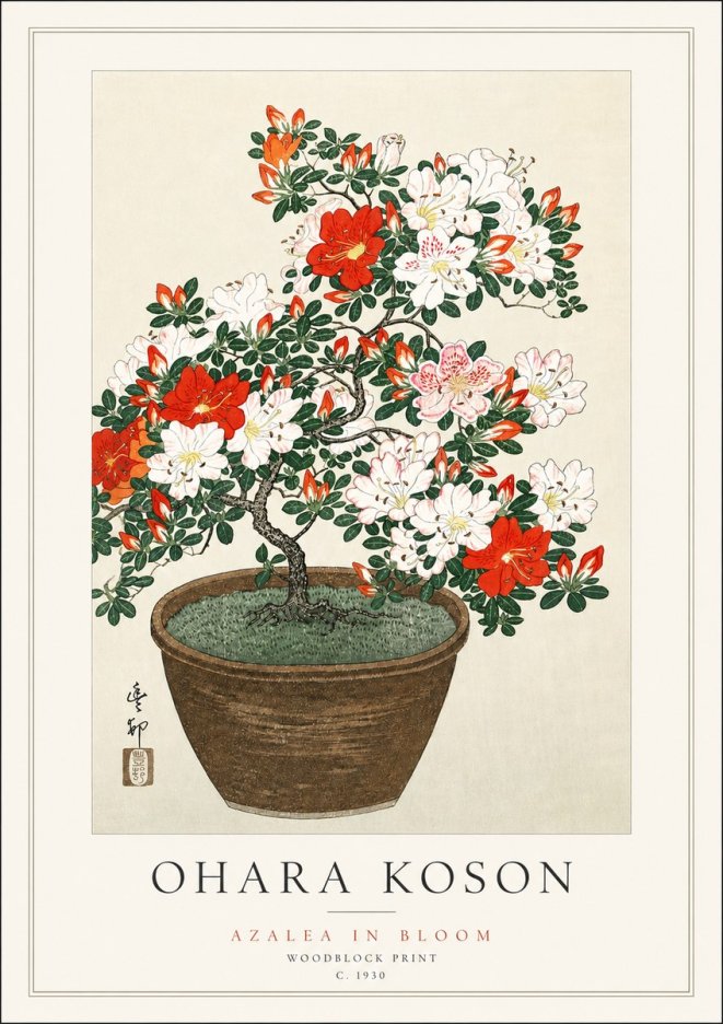 Ohara Koson Azalea in Bloom No3 - Plakat