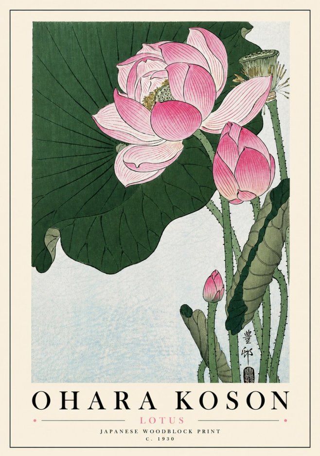 Ohara Koson Lotus II No5 - Plakat