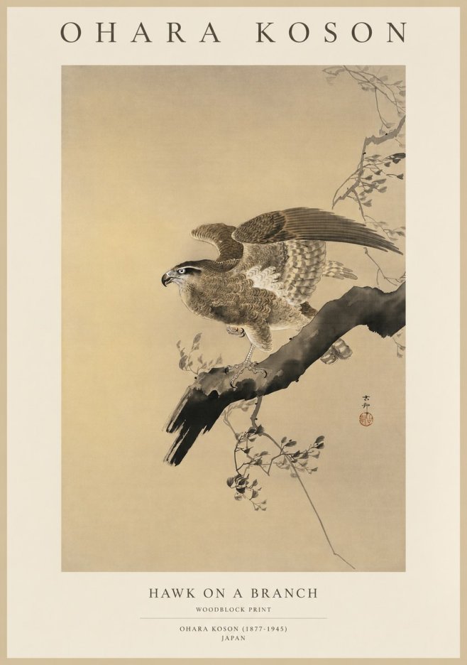 Ohara Koson Hawk on a Branch I No1 - Plakat