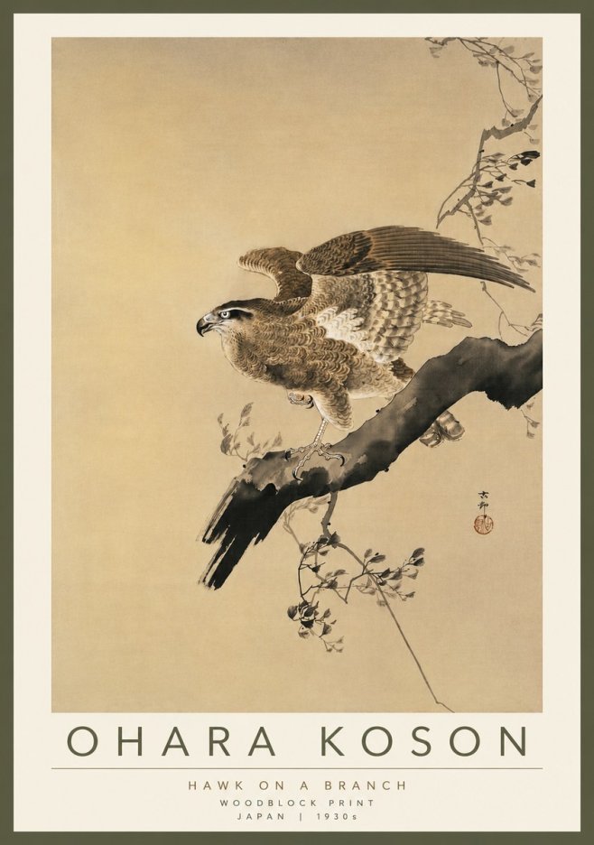 Ohara Koson Hawk on a Branch I No4 - Plakat