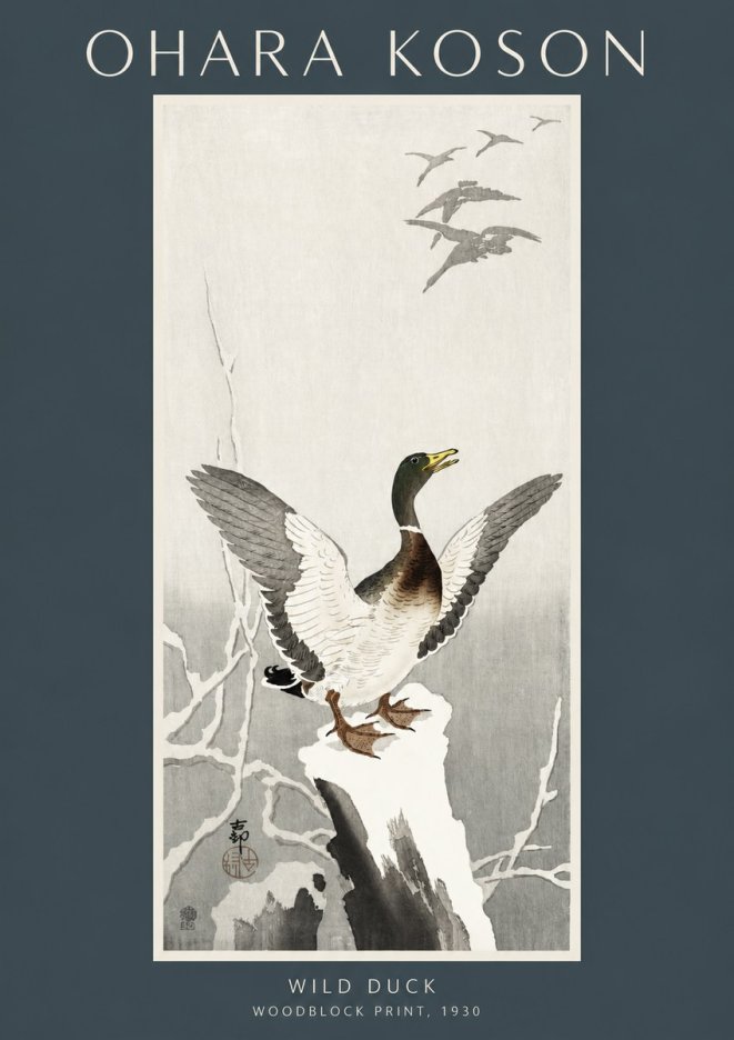 Ohara Koson Wild Duck No2 - Plakat