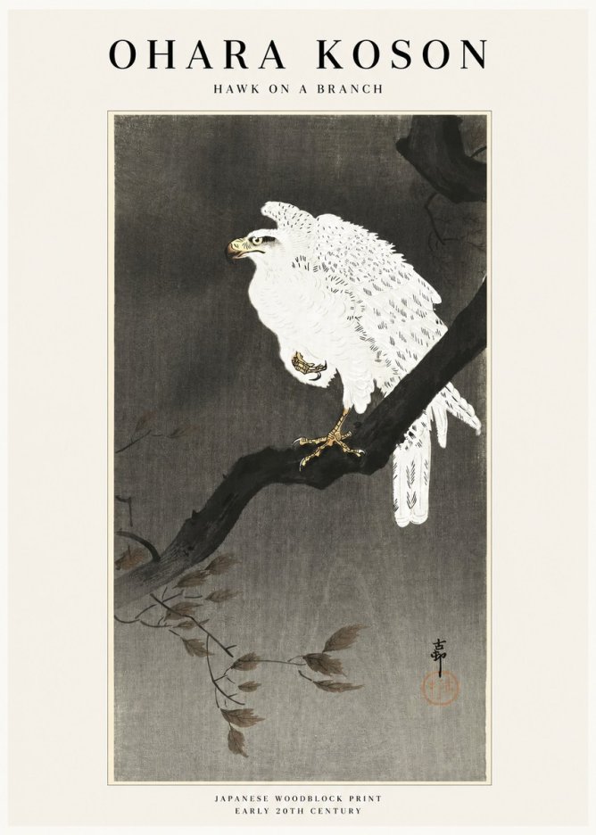 Ohara Koson Hawk on a Branch II No1 - Plakat