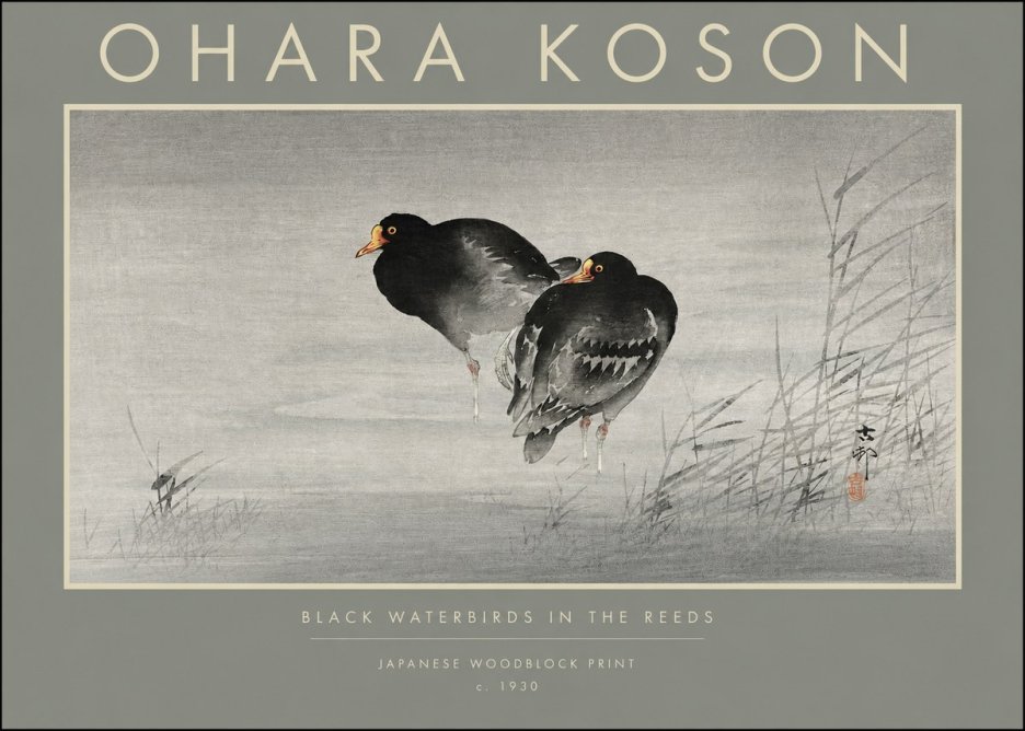 Ohara Koson Black Waterbirds in the Reeds No2 - Plakat