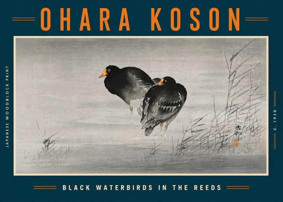 Ohara Koson Black Waterbirds in the Reeds No5 - Plakat