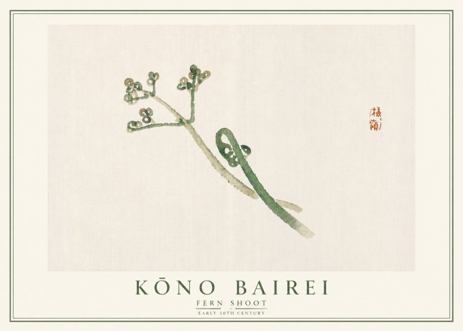 Kōno Bairei Fern Shoot No5 - Plakat