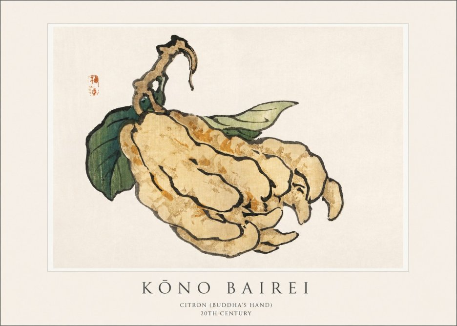 Kōno Bairei Citron (Buddha's Hand) No1 - Plakat