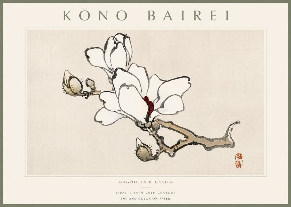 Kōno Bairei Magnolia Blossom No5 - Plakat