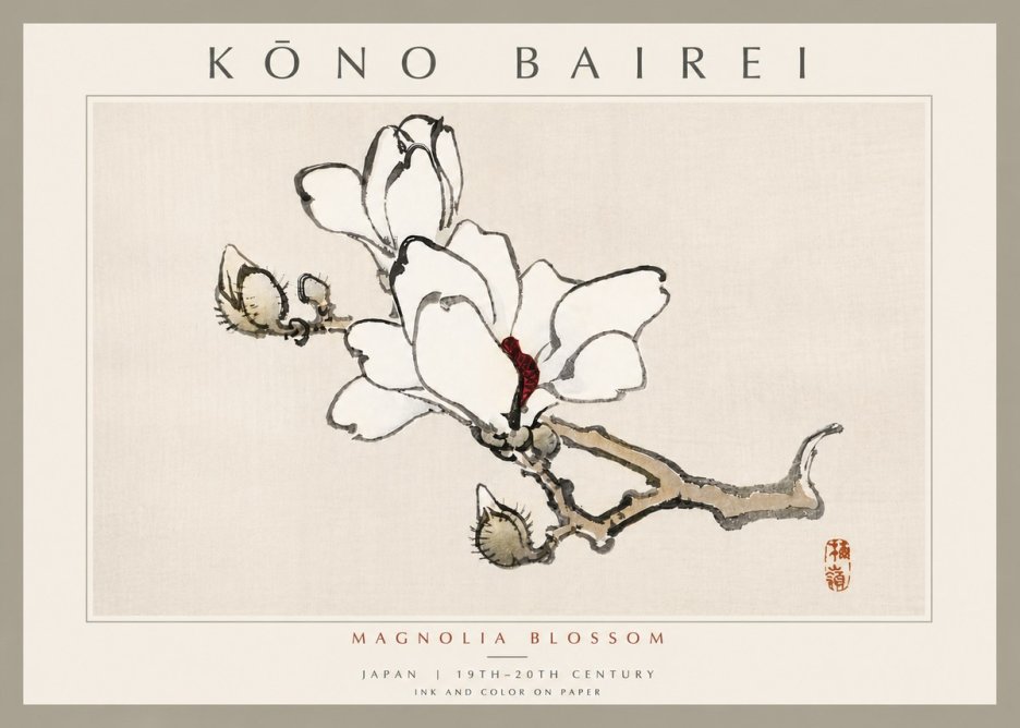 Kōno Bairei Magnolia Blossom No6 - Plakat