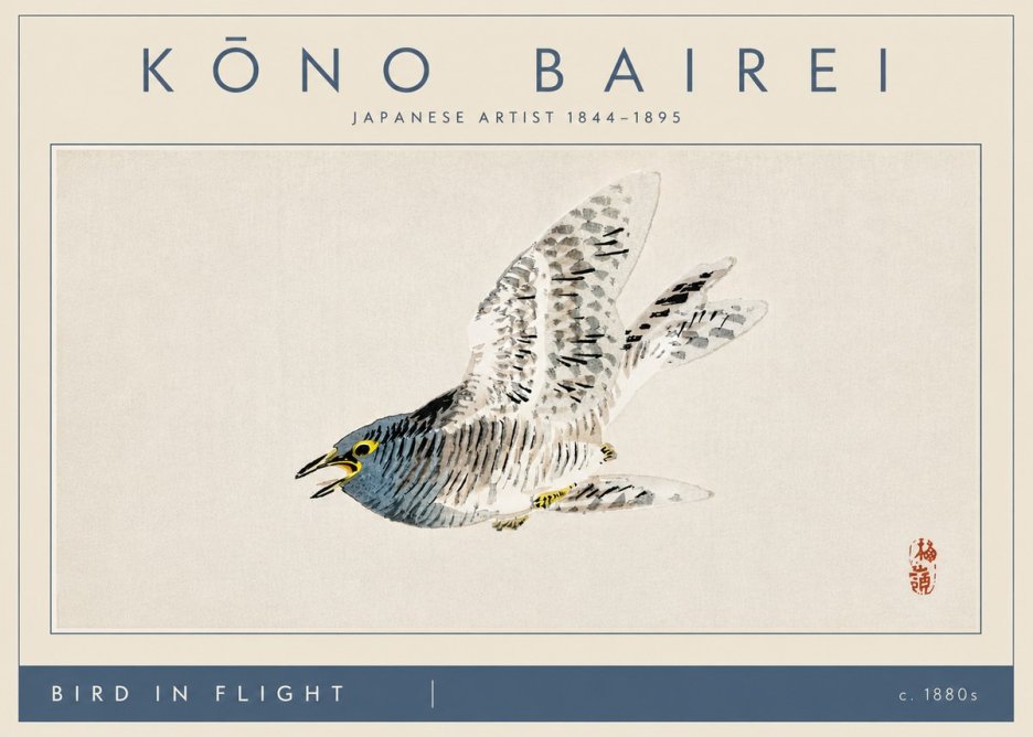 Kōno Bairei Bird in Flight No4 - Plakat