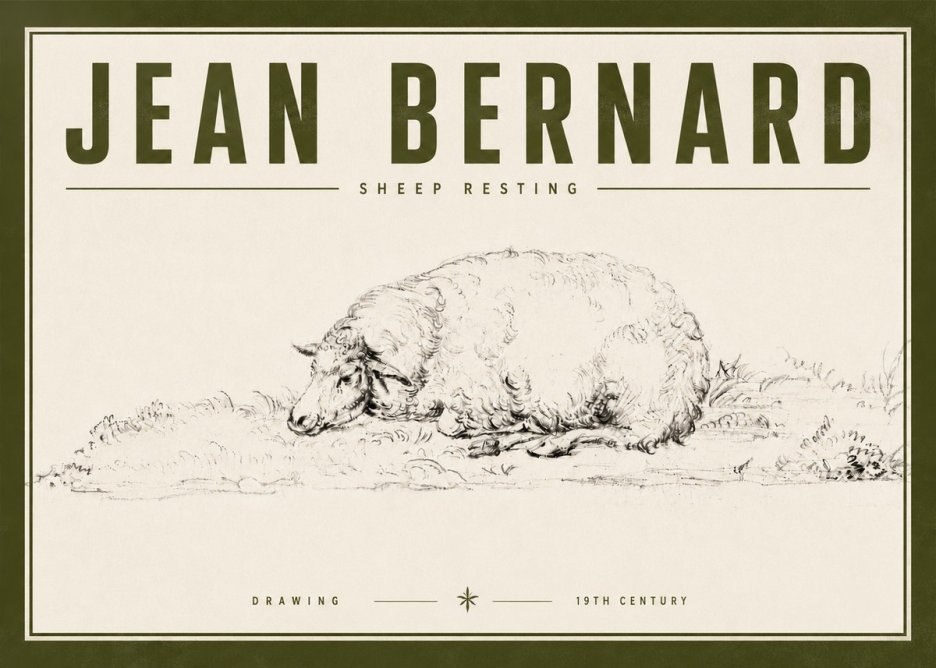 Jean Bernard Sheep Resting on the Ground No6 - Plakat