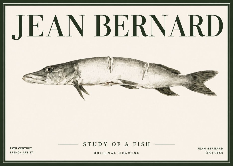 Jean Bernard Study of a Fish II No4 - Plakat