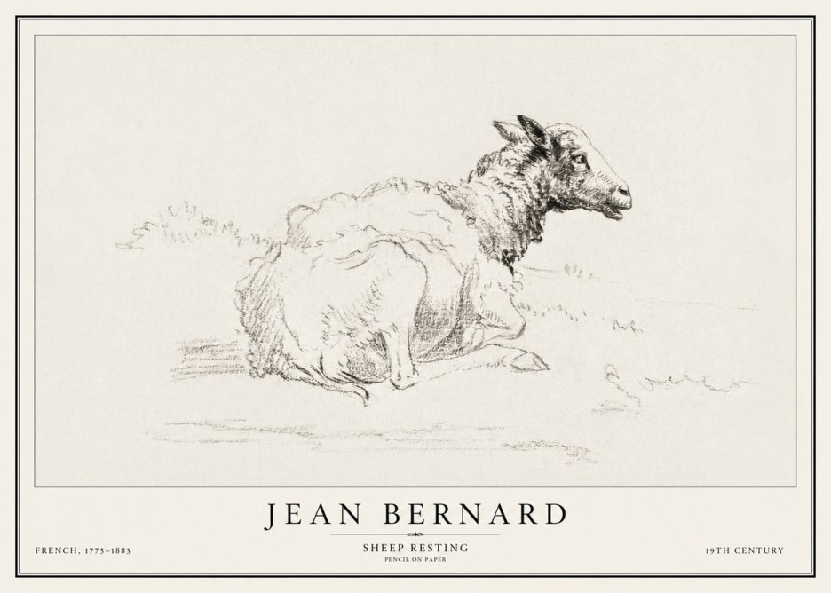 Jean Bernard Sheep Resting No1 - Plakat