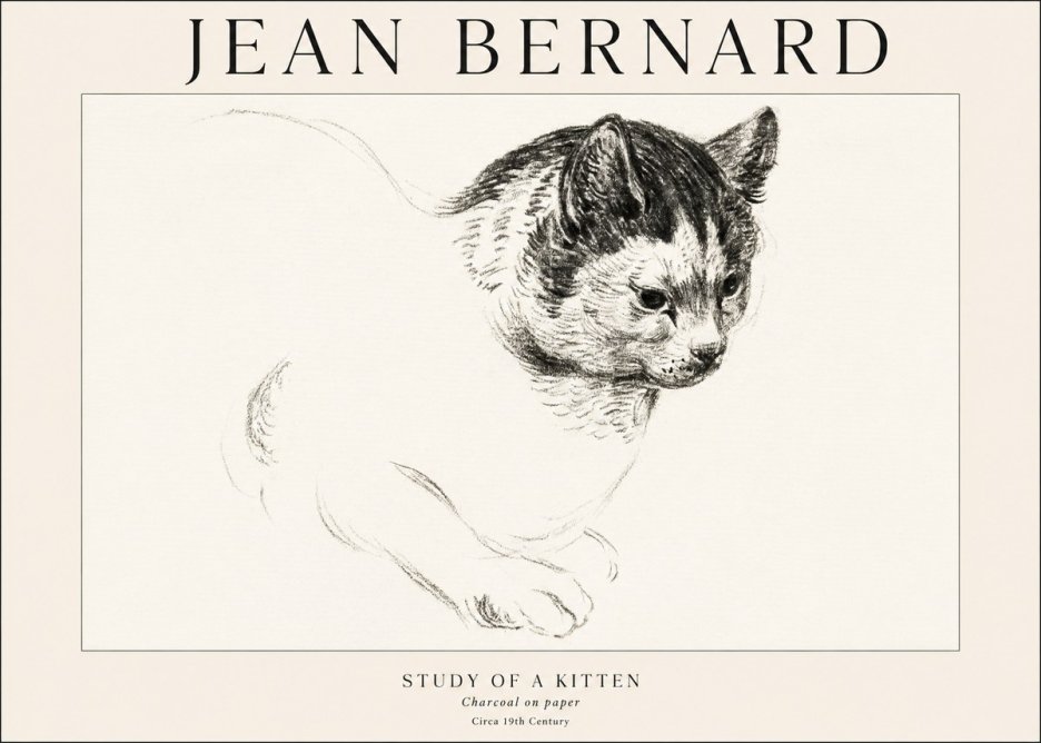 Jean Bernard Study of a Kitten I No1 - Plakat
