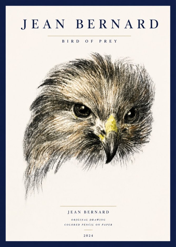 Jean Bernard Bird of Prey No3 - Plakat