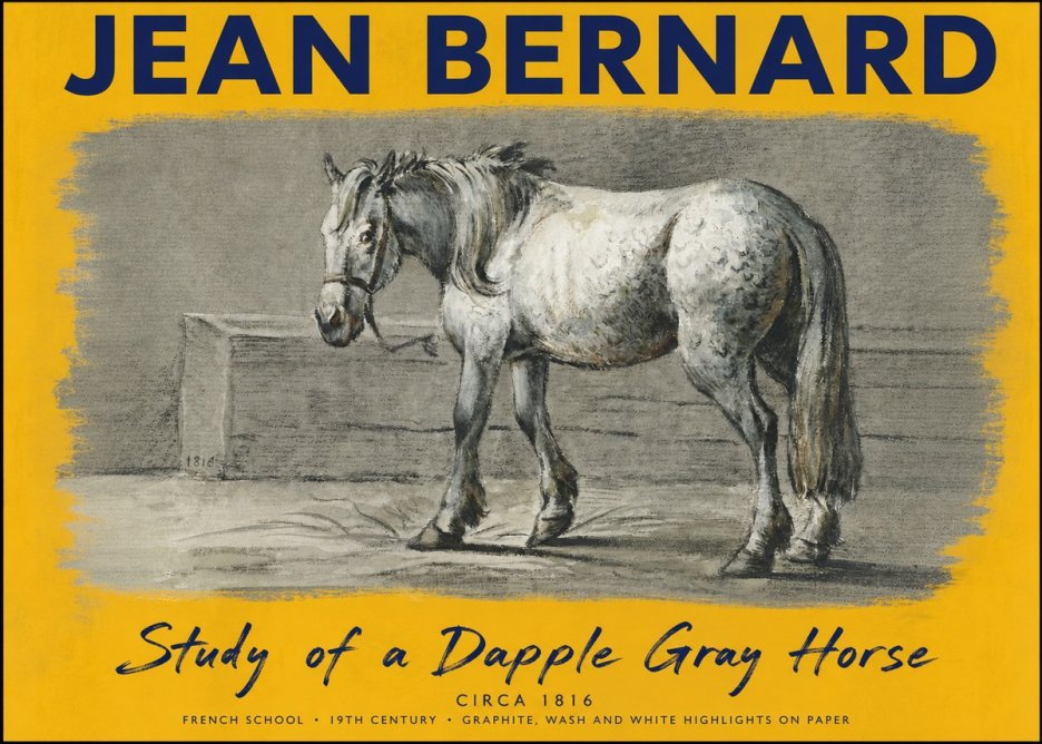 Jean Bernard Study of a Dapple Gray Horse No5 - Plakat