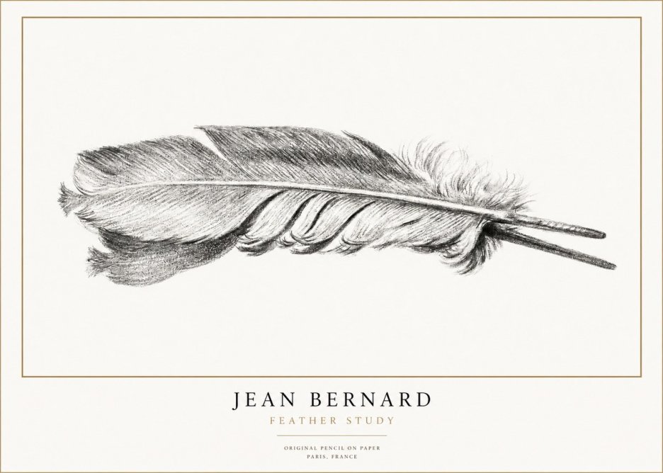 Jean Bernard Feather No3 - Plakat