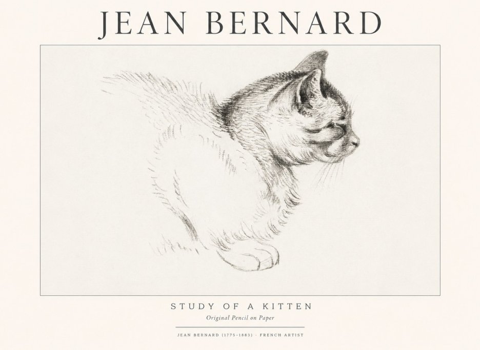 Jean Bernard Study of a Kitten II No1 - Plakat