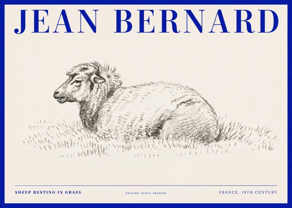 Jean Bernard Sheep Resting in Grass No2 - Plakat