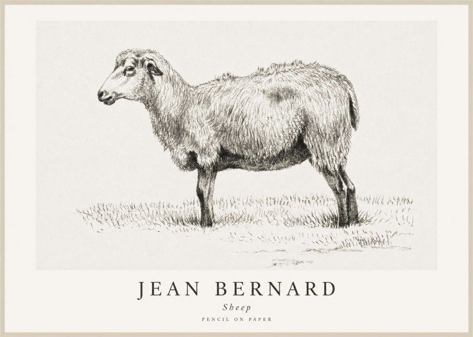 Jean Bernard Sheep No1 - Plakat