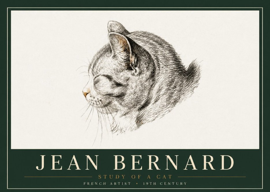 Jean Bernard Study of a Cat I No4 - Plakat