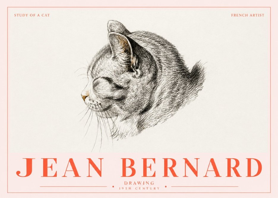Jean Bernard Study of a Cat I No5 - Plakat