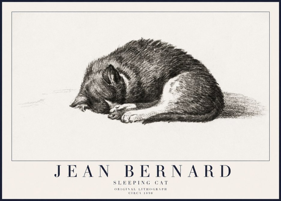 Jean Bernard Sleeping Cat III No6 - Plakat