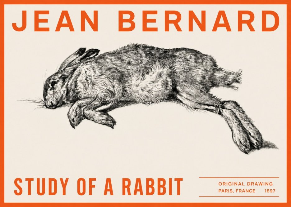 Jean Bernard Study of a Rabbit No2 - Plakat