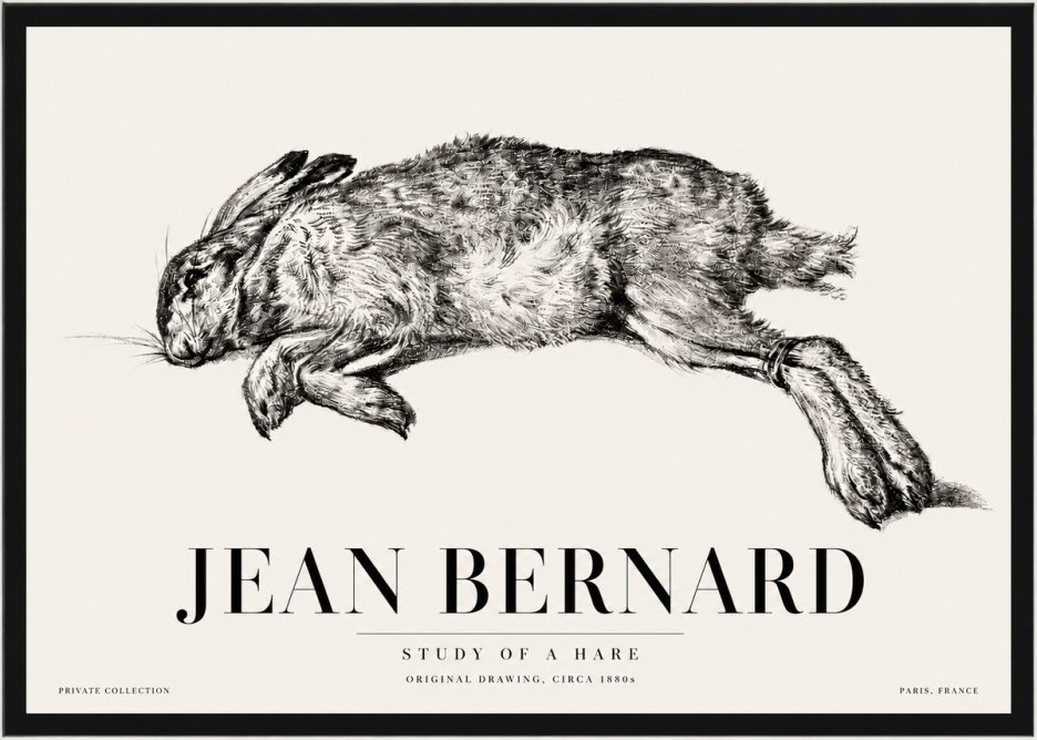 Jean Bernard Study of a Rabbit No5 - Plakat